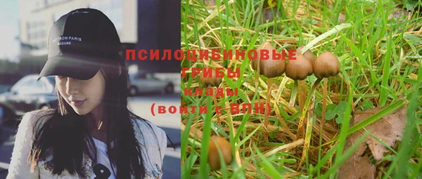 Альфа ПВП Вяземский