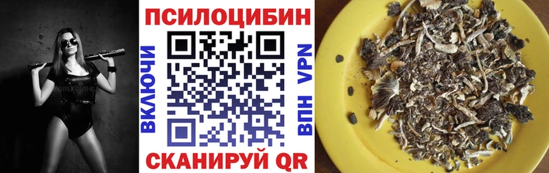 Купить  Кирсанов  Псилоцибиновые грибы MAGIC MUSHROOMS 